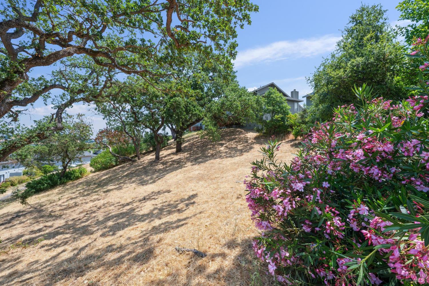 5 Briarwood Court