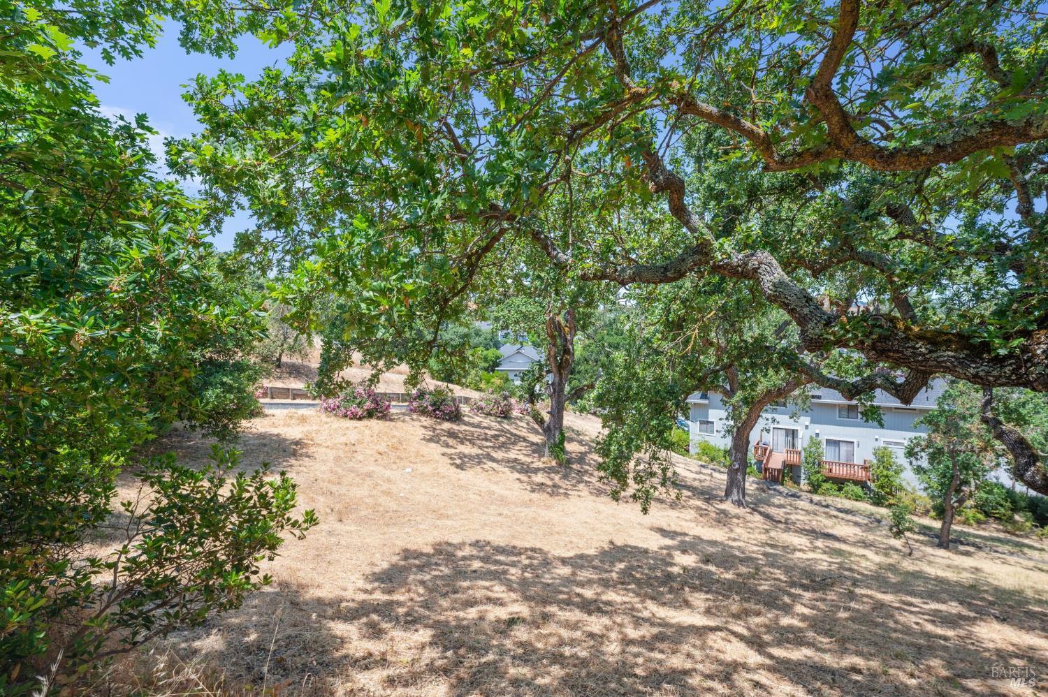 5 Briarwood Court