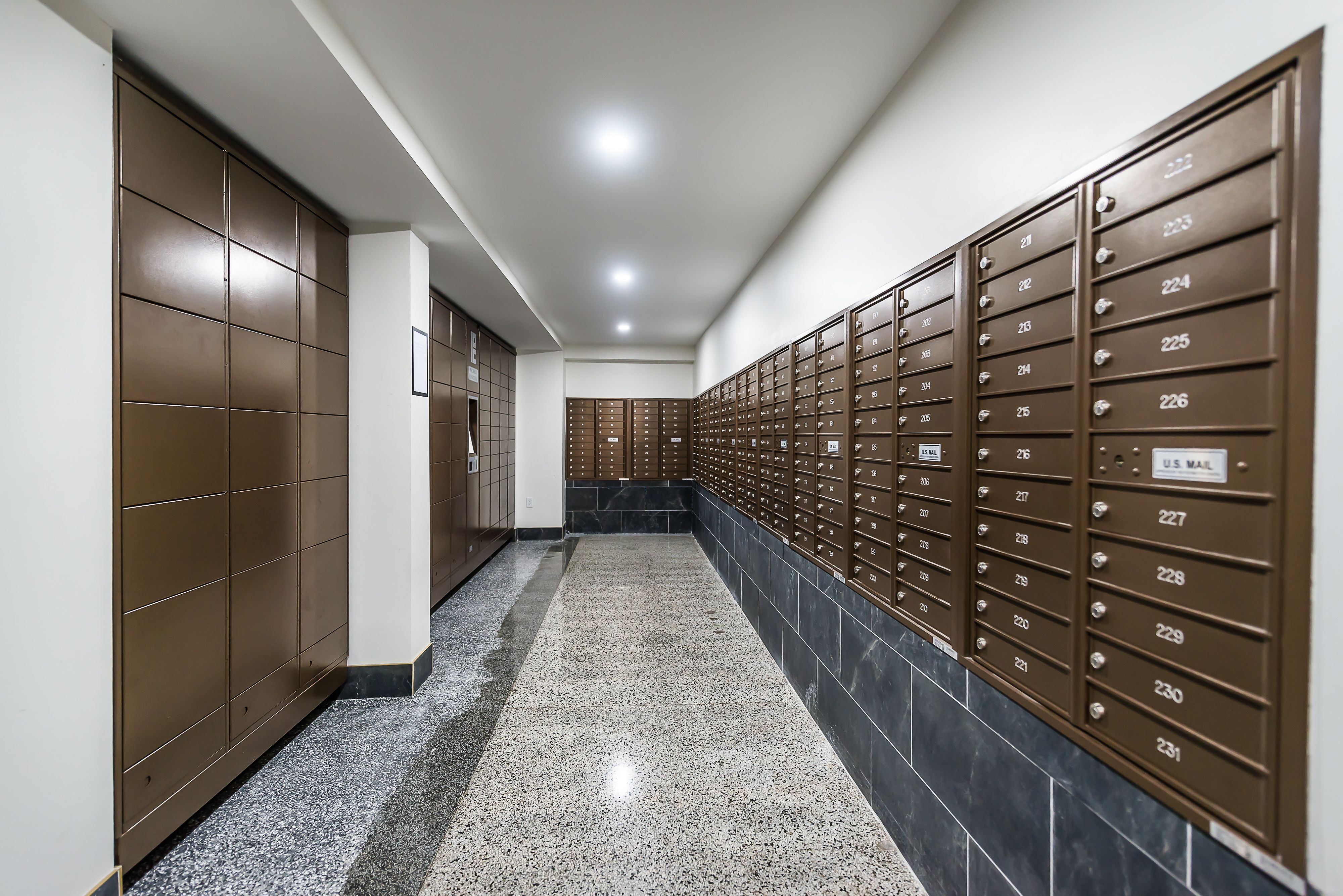 15 E KIRBY Street Unit: 1206