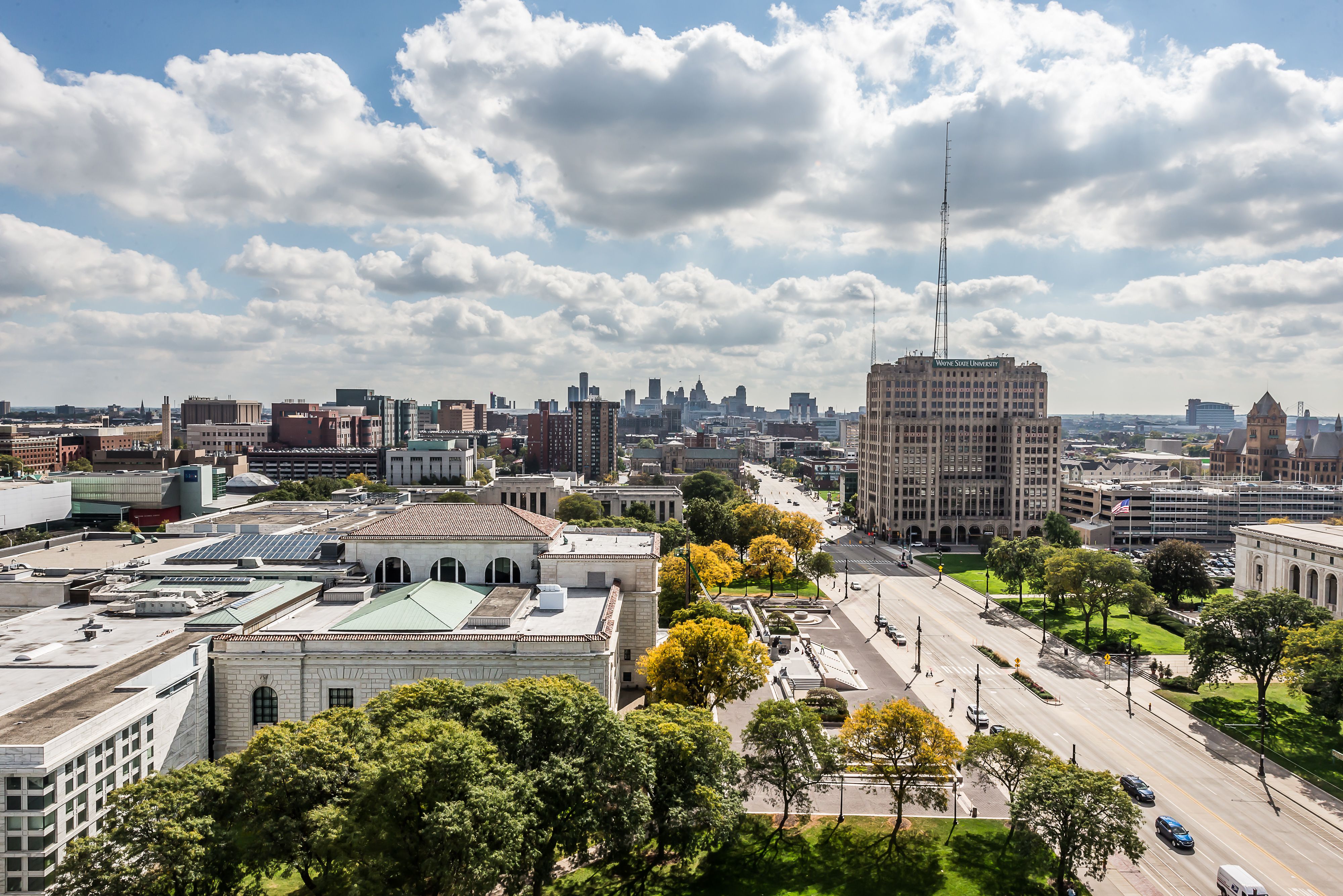 15 E KIRBY Street Unit: 1206