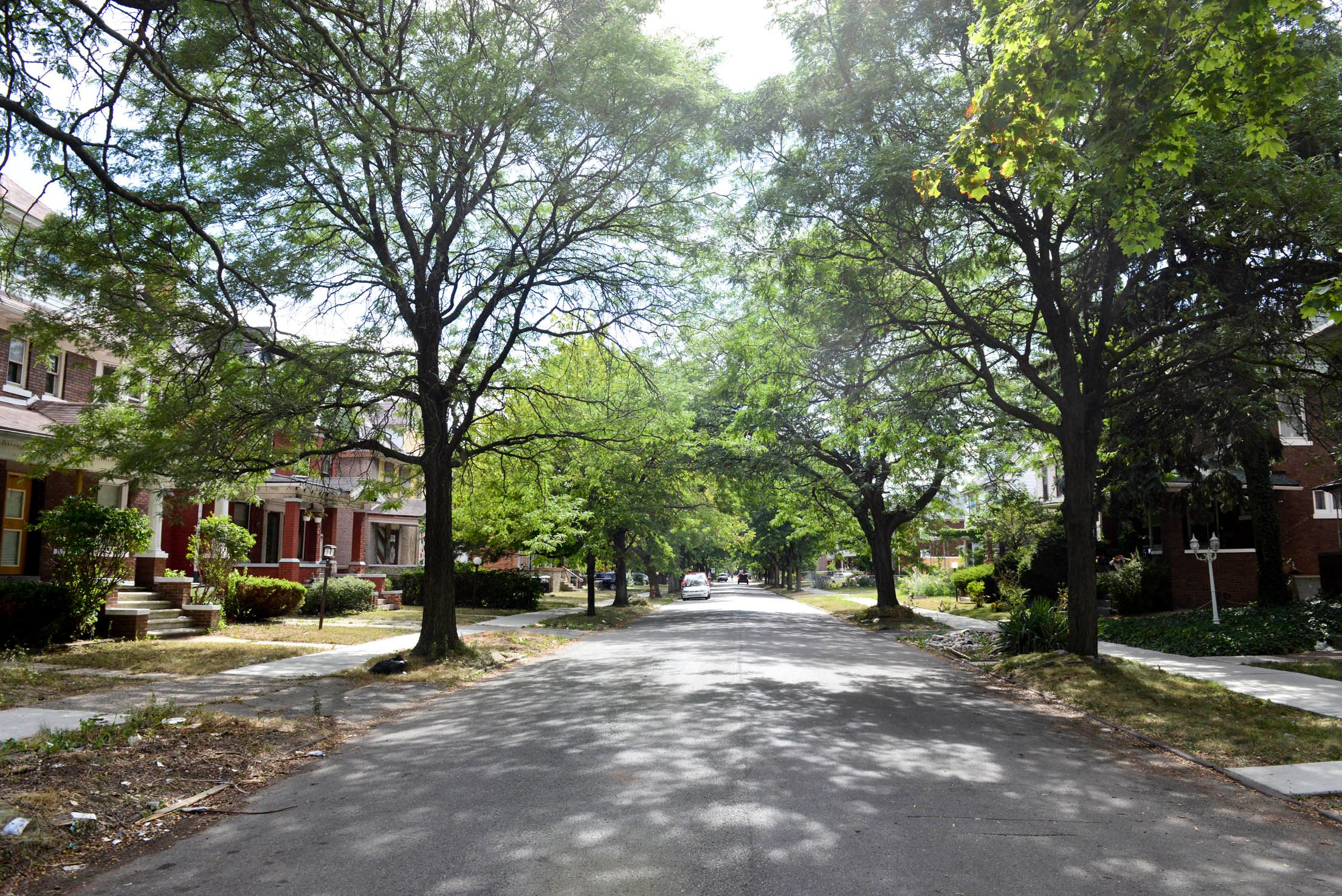 315 MELBOURNE Street