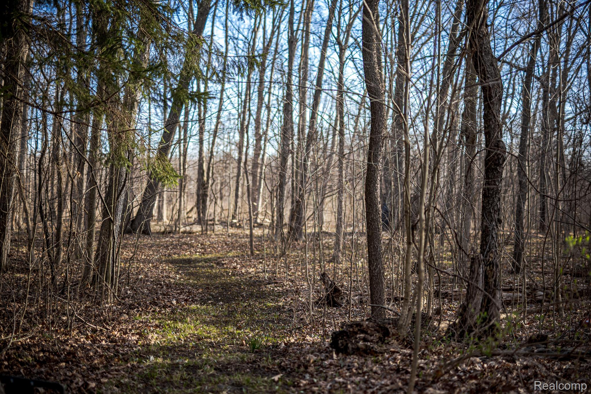 3819 S ORTONVILLE Road