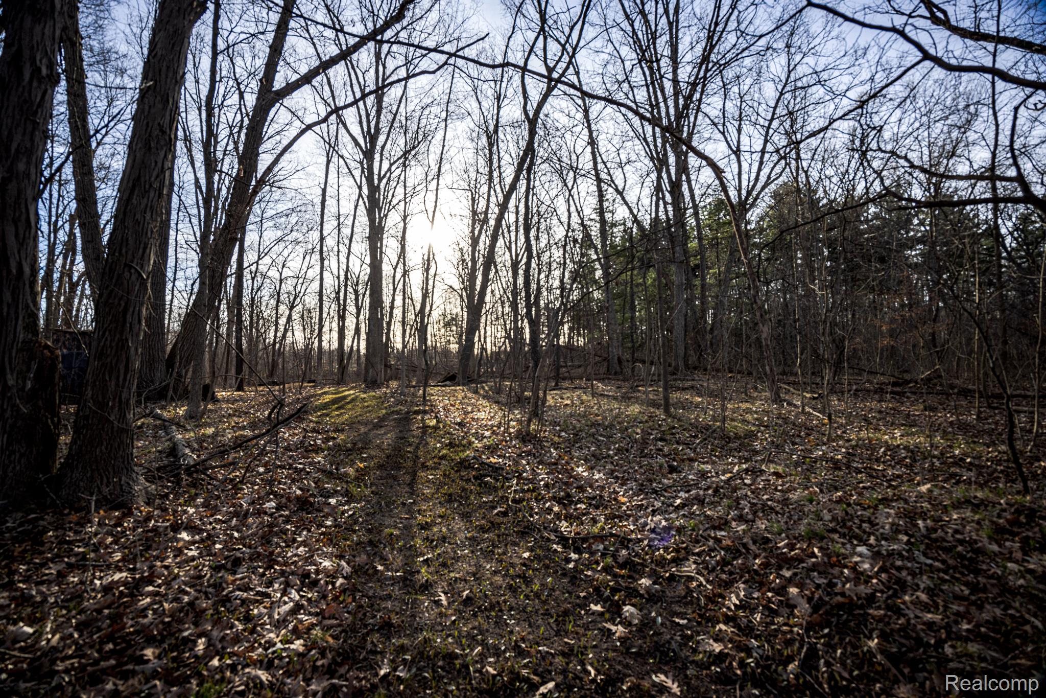 3819 S ORTONVILLE Road