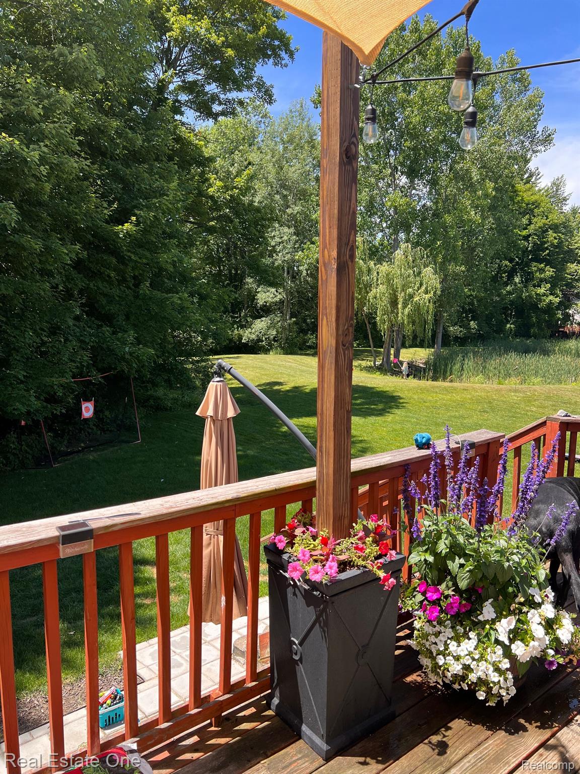 6581 WEDGEWOOD Court