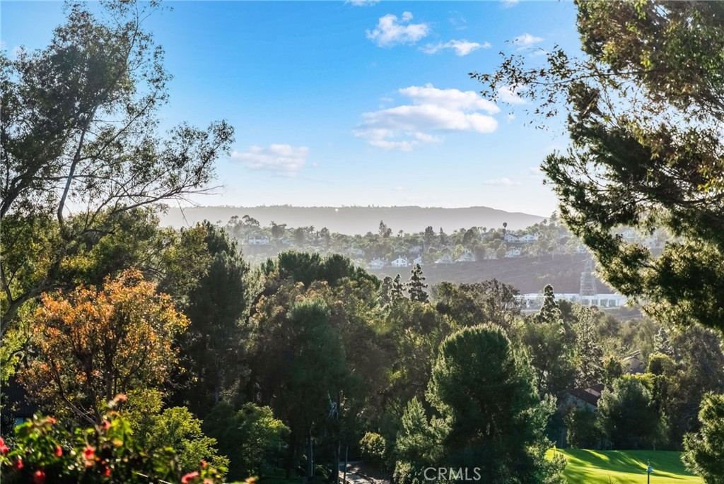 27011 27011 Moro Azul