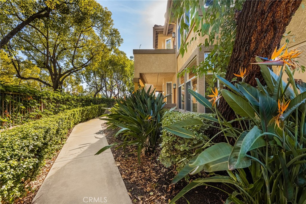 19431 Rue De Valore 2D