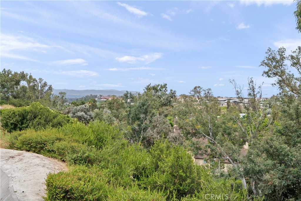 26342 Forest Ridge Drive 2E