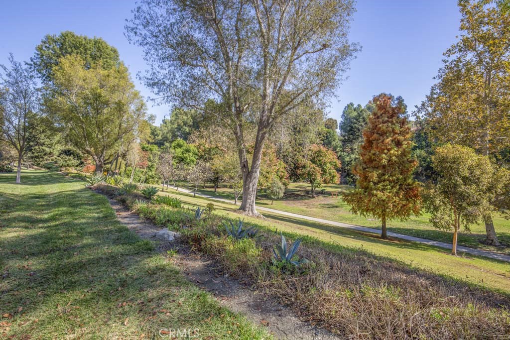 193 Avenida Majorca A