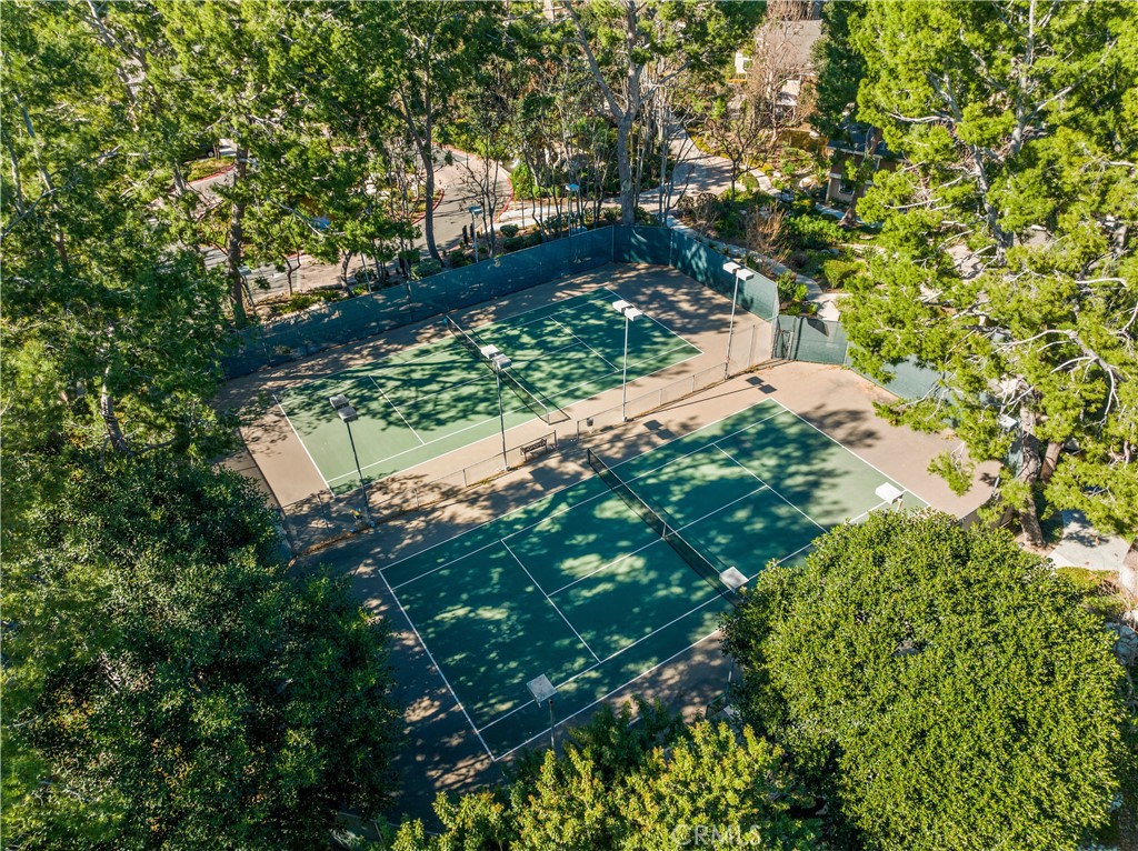 165 Pineview