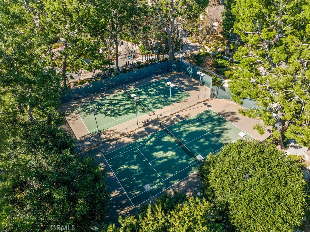 165 Pineview