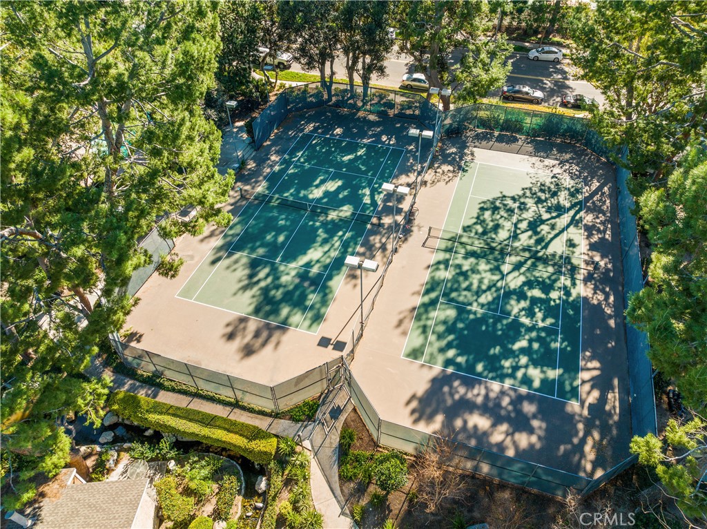165 Pineview
