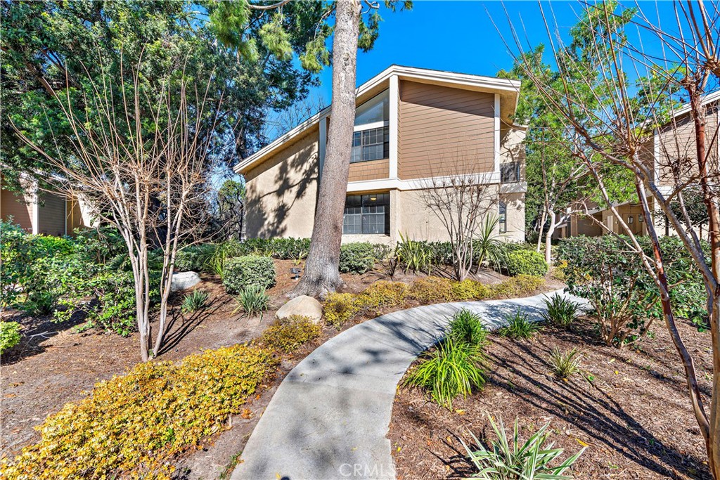 165 Pineview