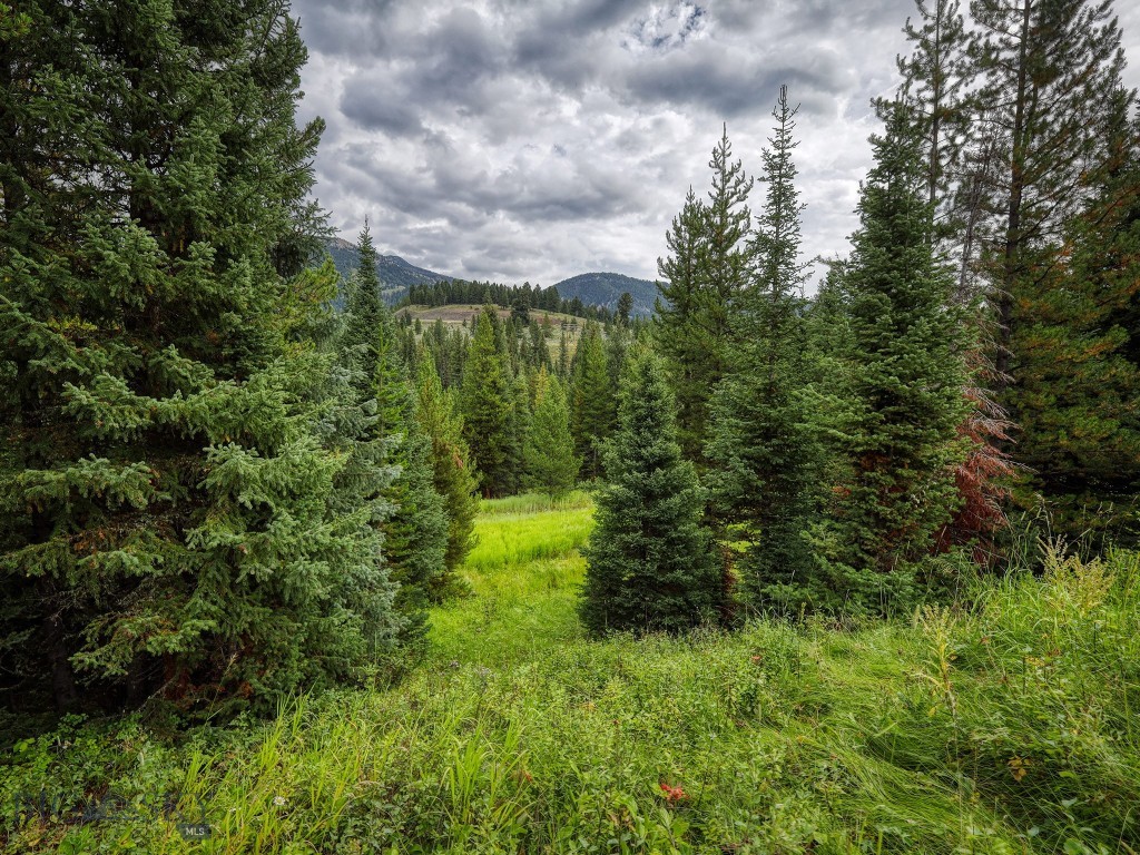 Lot 7 Autumn Trail