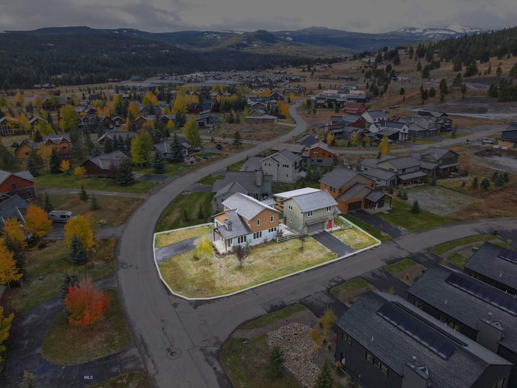 313 Spruce Cone