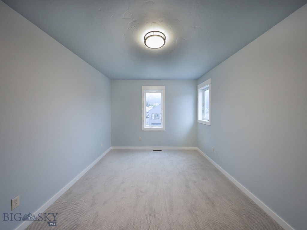 313 Spruce Cone