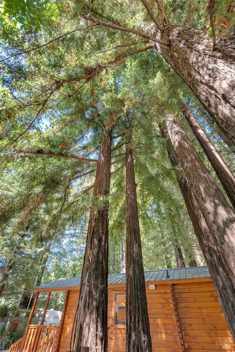 14755 Armstrong Woods Rd #15