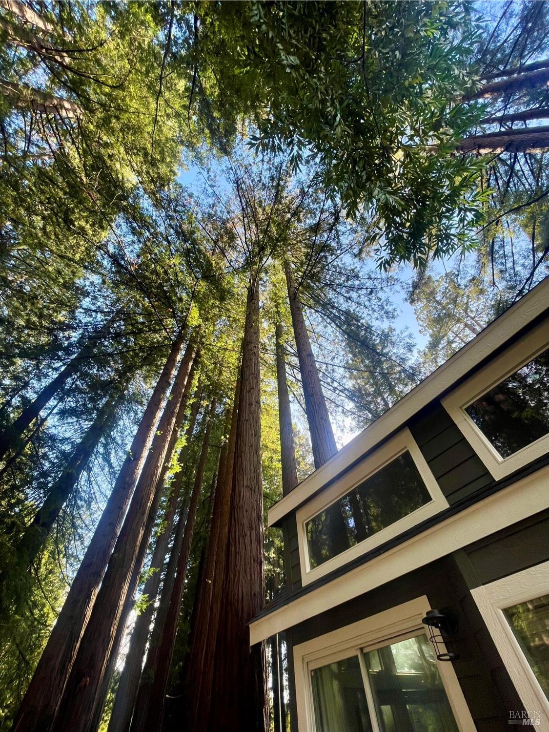 14755 Armstrong Woods Rd #23