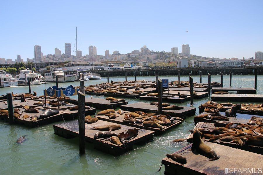 33 Midway Street Unit: 202