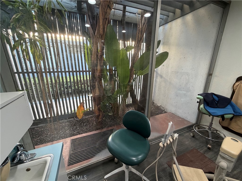 1731 W Romneya Drive