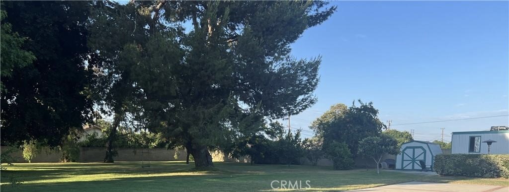 8541 Orangewood
