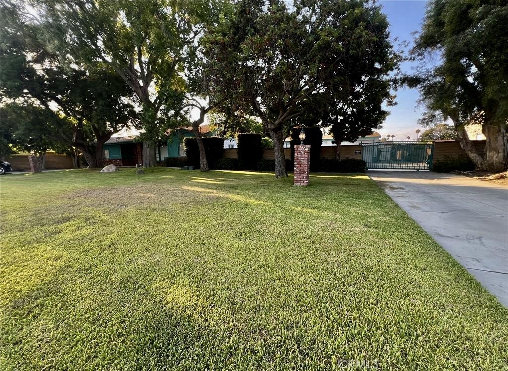 8541 Orangewood
