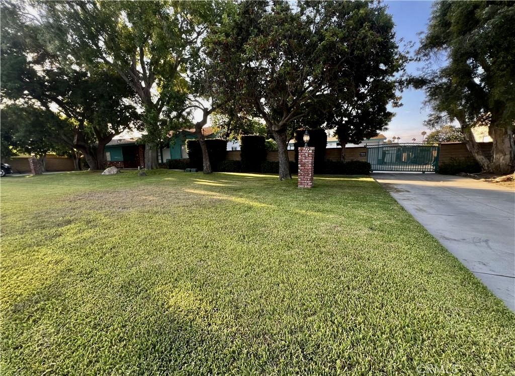 8541 Orangewood