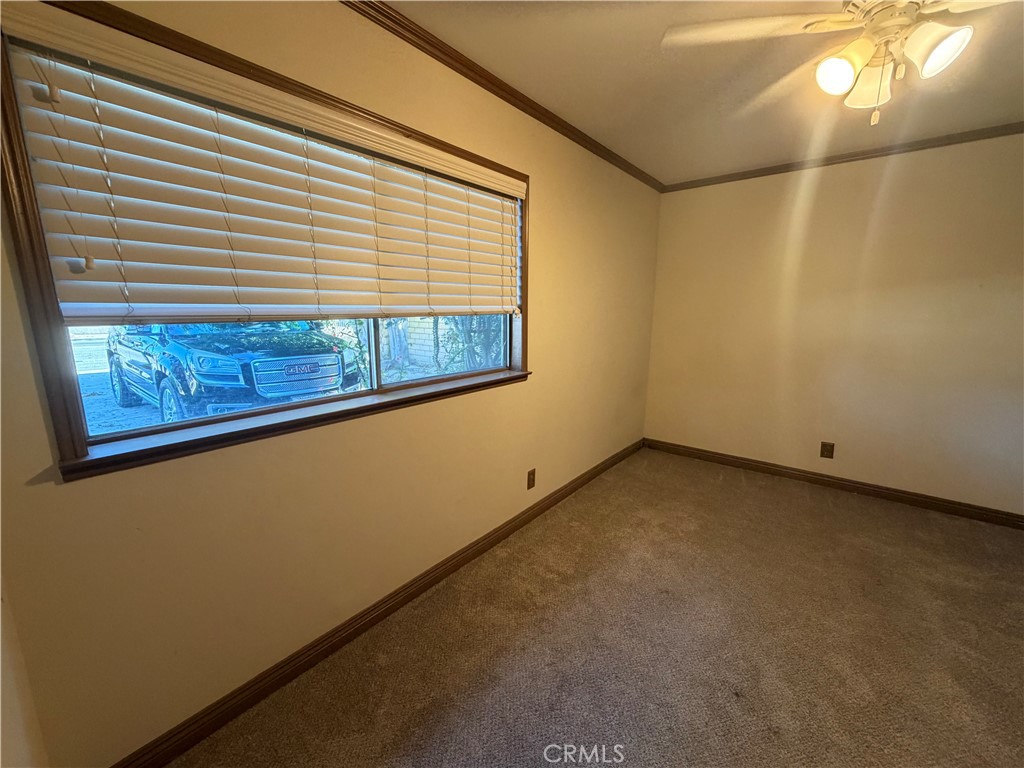 8541 Orangewood