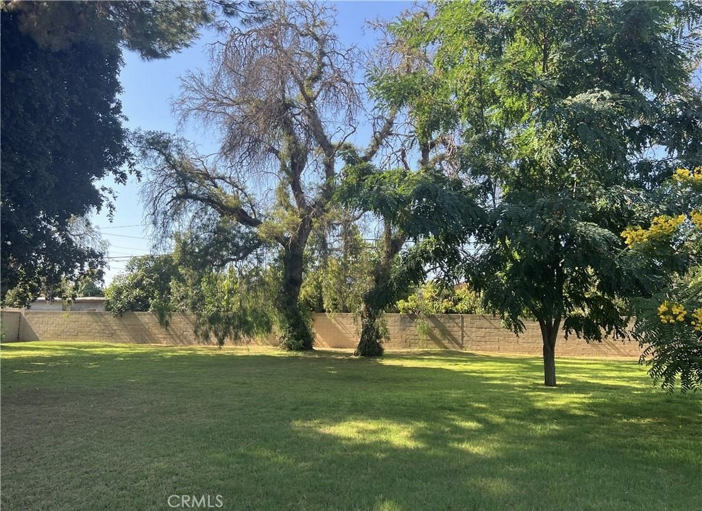 8541 Orangewood