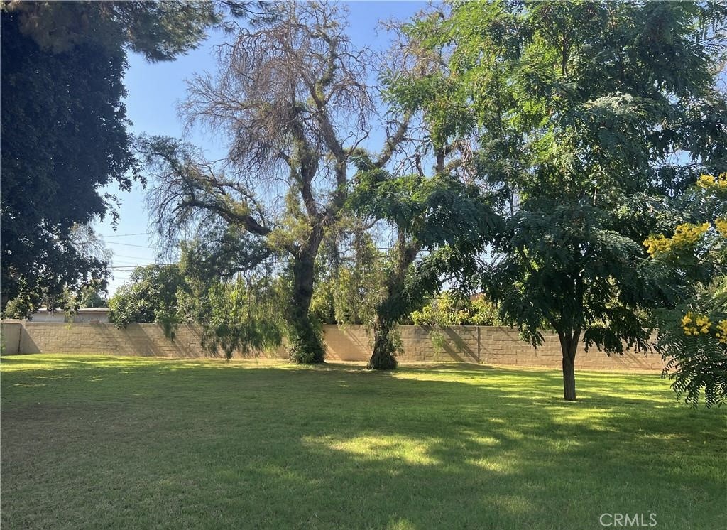 8541 Orangewood