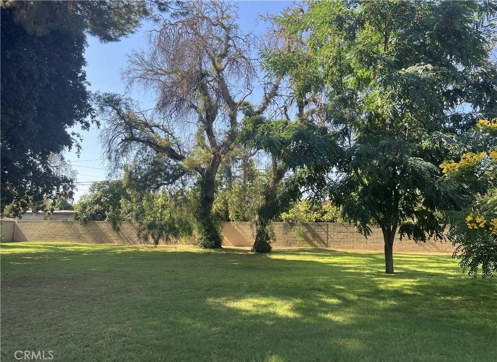 8541 Orangewood