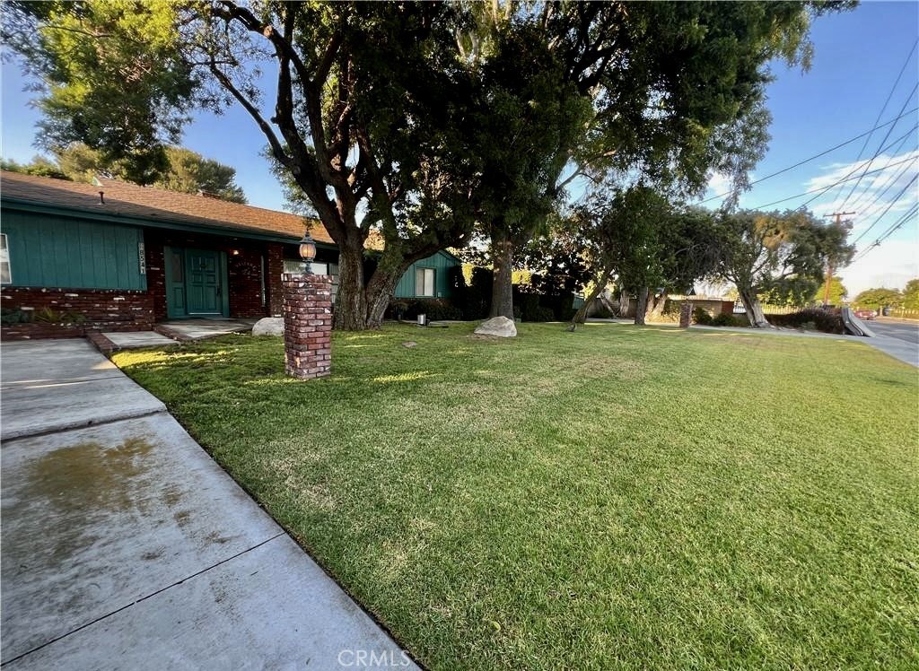 8541 Orangewood