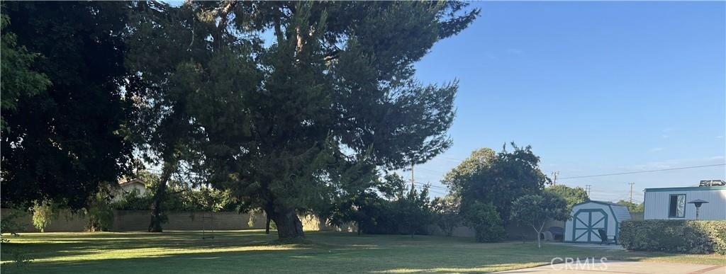 8541 Orangewood