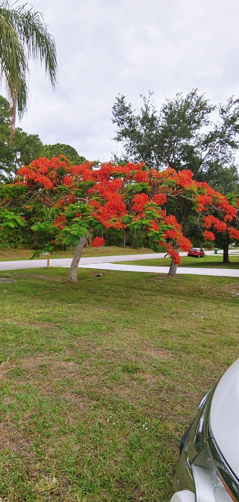 1291 SW Curtis Street Street