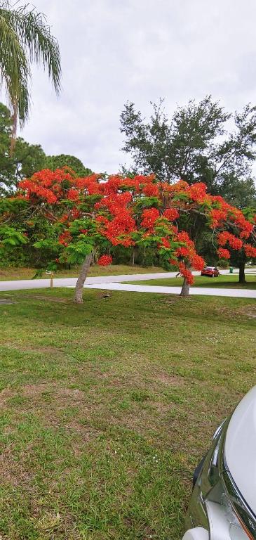 1291 SW Curtis Street Street