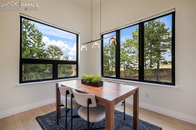 20416 Kenneth Lainer Drive