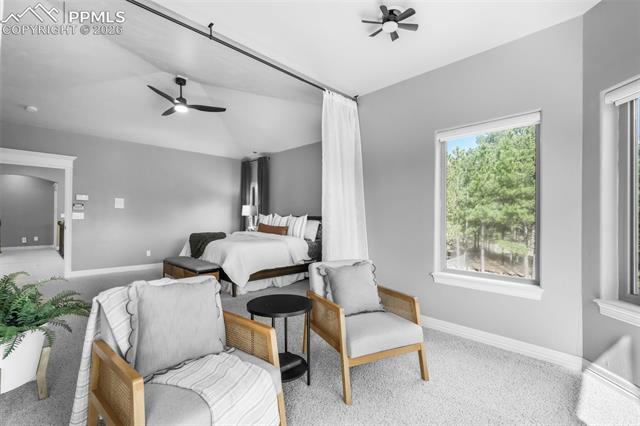 450 Stirrup Trail
