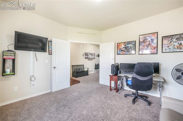 3668 Wild Daisy Drive