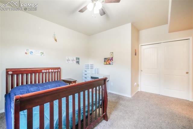 3668 Wild Daisy Drive