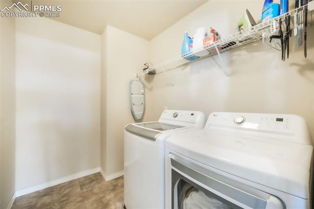 3668 Wild Daisy Drive