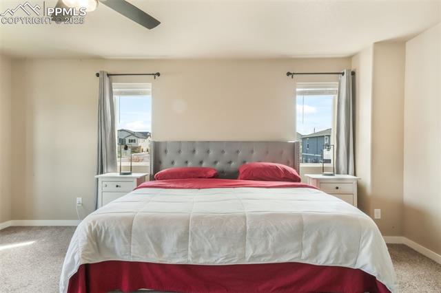 8407 Caddis Court