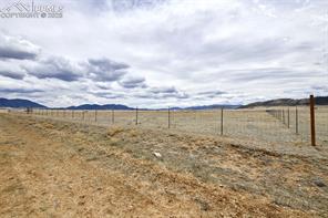 8186 Jackson Road