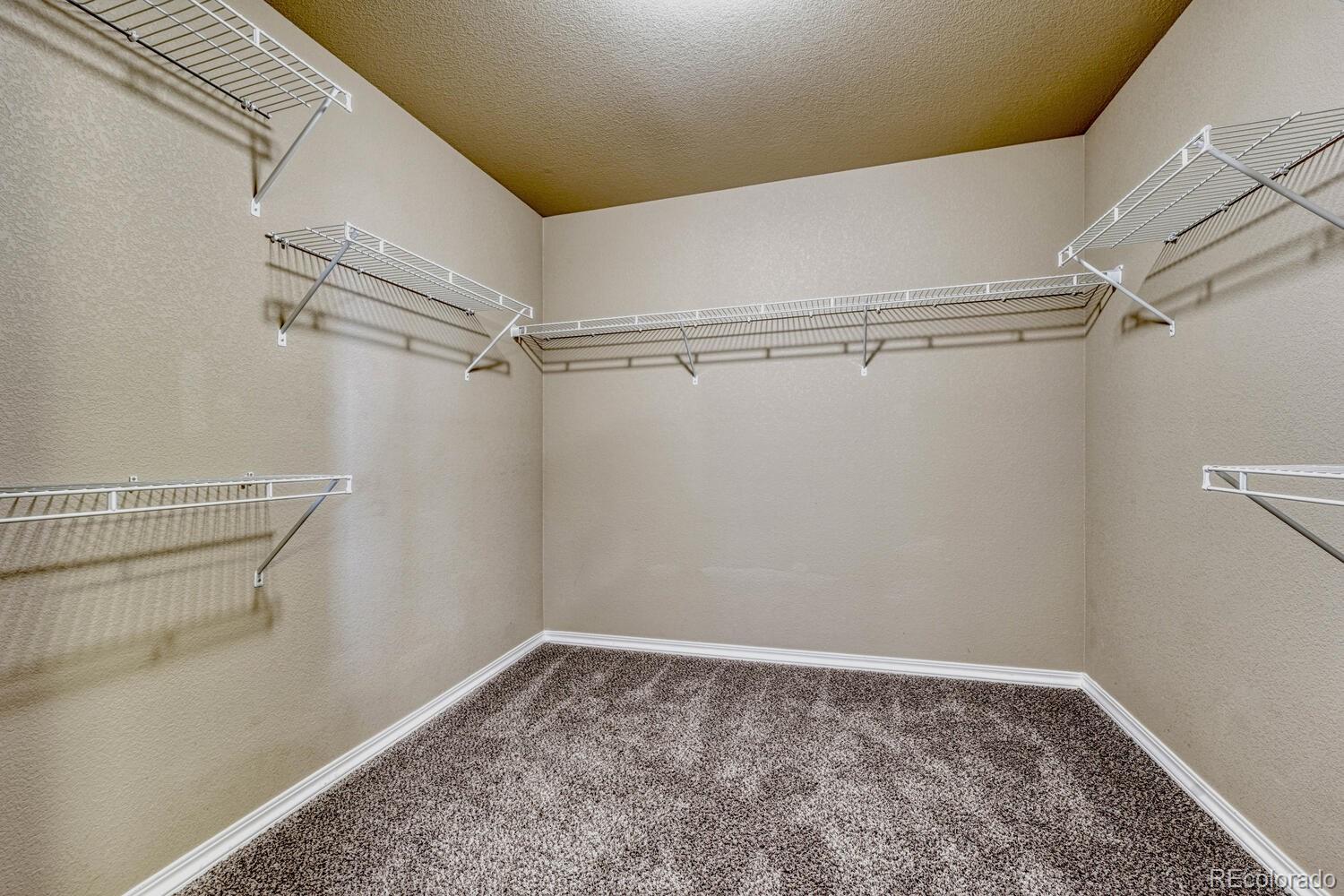 8308 Needle Drop Court