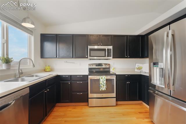 7356 Brush Hollow Drive