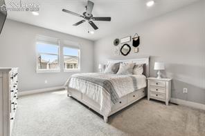 2115 Coyote Mint Drive