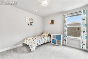 2115 Coyote Mint Drive
