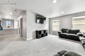2115 Coyote Mint Drive