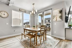 2115 Coyote Mint Drive