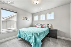 2115 Coyote Mint Drive