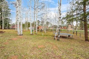 250 Bridle Drive