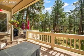 19165 Golden Arrow Circle